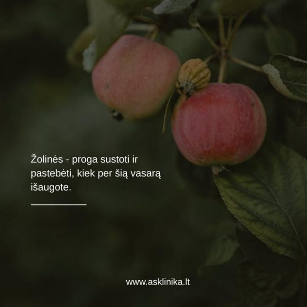 post_image-c27c914bf515eddd5d5b674ba94ccbe7.jpg